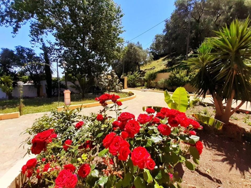 Villa Silvia Ágios Matthaíos Extérieur photo